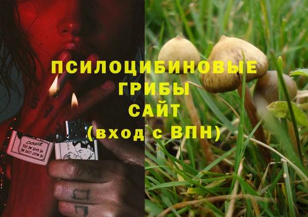 a pvp Нефтекумск